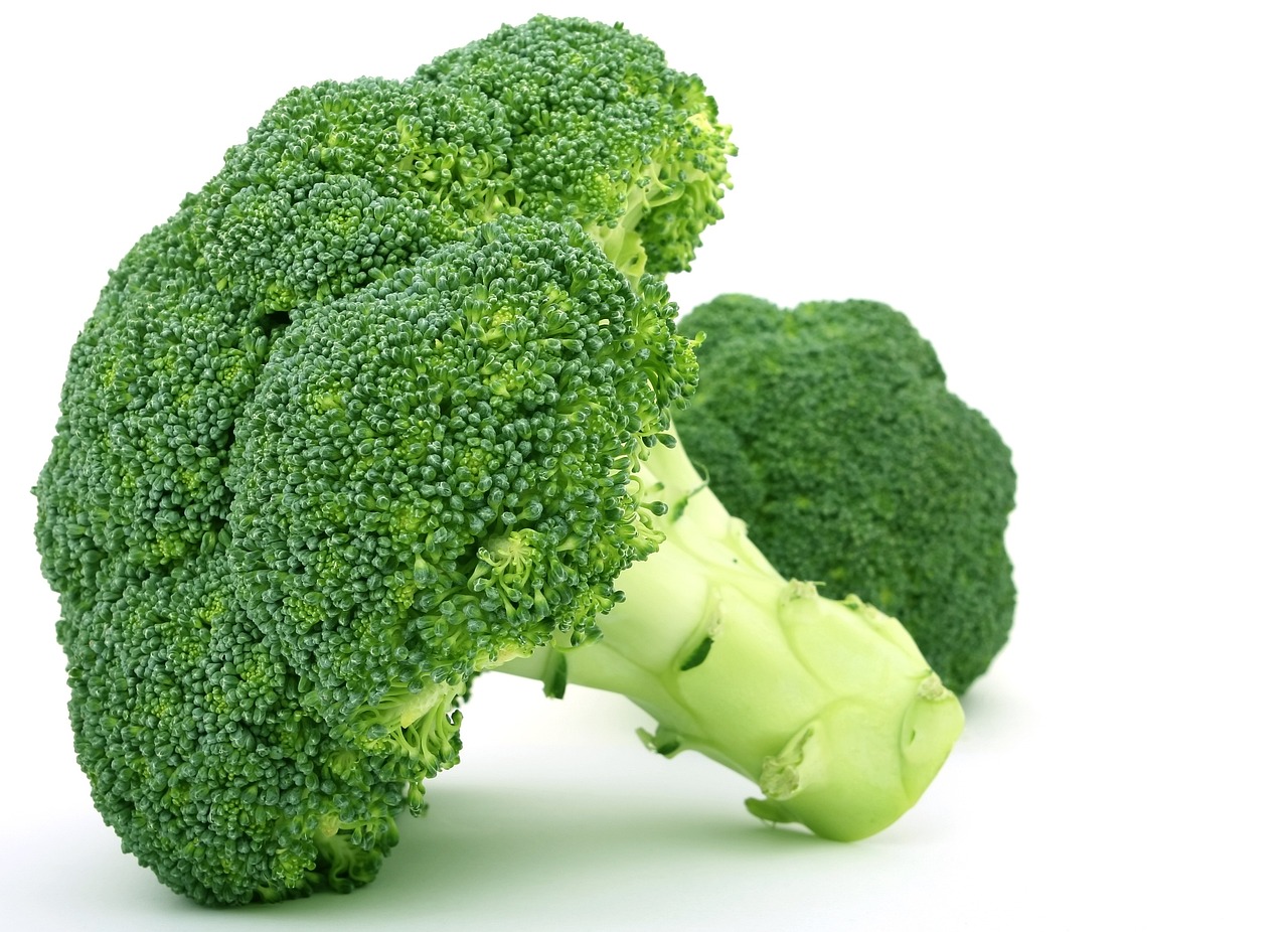 Broccoli kweken